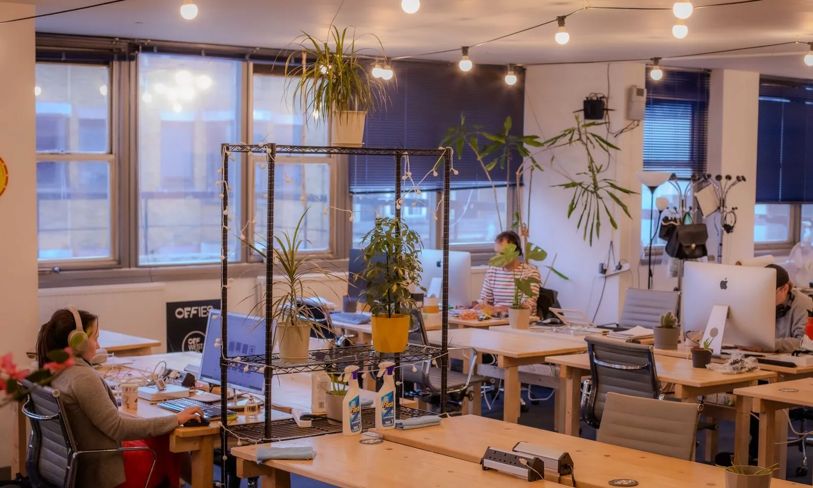 People working at shared desks in PopHub’s bright, plant-filled workspace in Leicester Square.